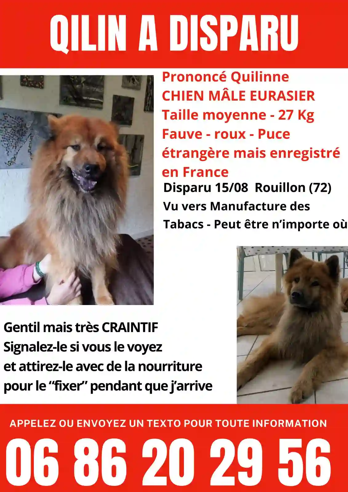 Chien Perdu 72 Sarthe Le Mans - Qilin